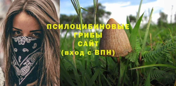 стаф Алексеевка