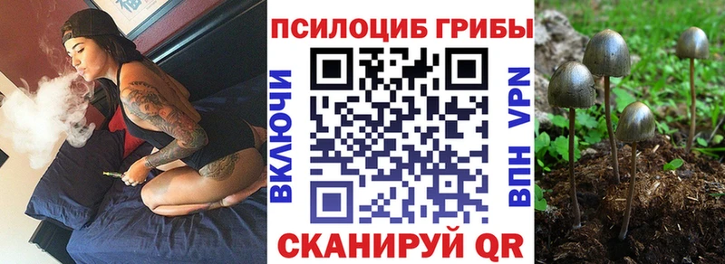 где купить наркоту  kraken онион  Псилоцибиновые грибы GOLDEN TEACHER  Далматово 
